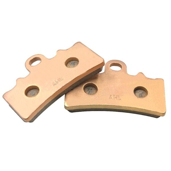 BMW 310 GS Sintered Brake pads