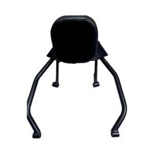 Royal Enfield Guerrilla 450 5 Yanaworldwide